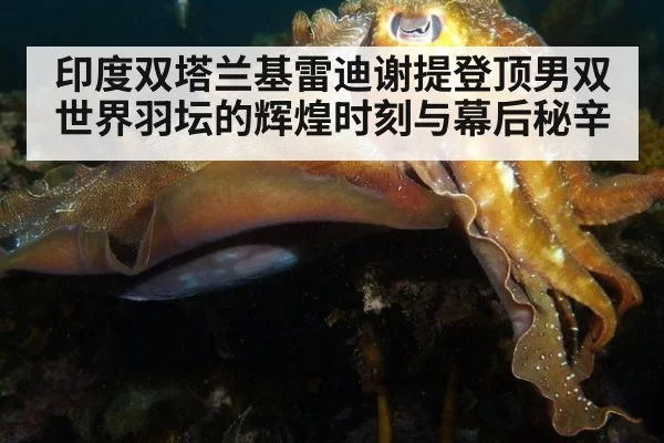 印度双塔兰基雷迪谢提登顶男双世界羽坛的辉煌时刻与幕后秘辛